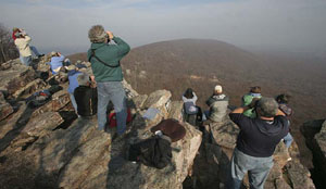 Bake Oven Knob