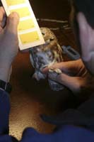 checking-eye-color-IMG_2140