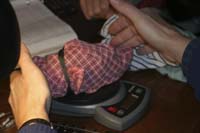 weighing-sawwhet-IMG_2151