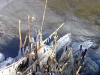 P1160175