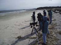 Birding-from-Emerson-Rocks-