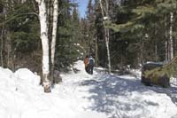 Spruce-Bog-Trail-Algonquin-