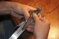 3-measuring-sawwhet-wing-BI