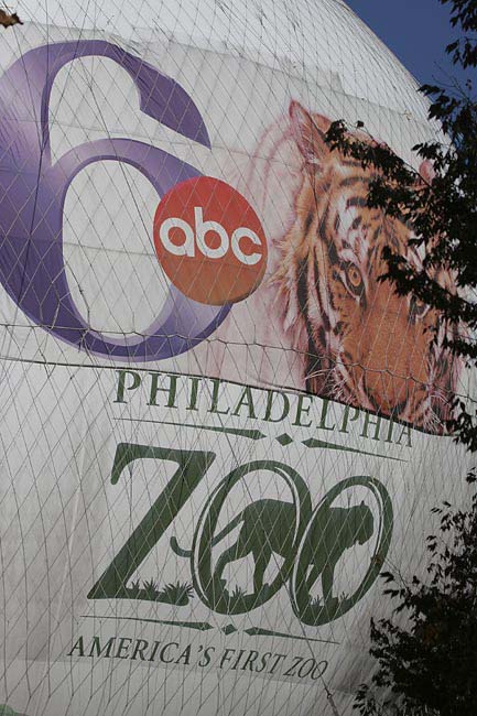 zoo-balloon-BINNS-IMG_4091