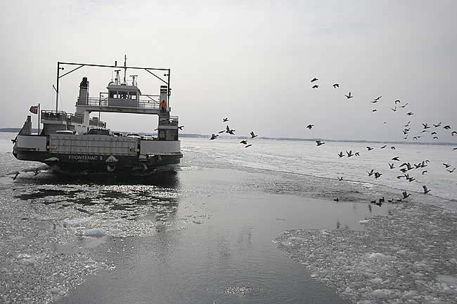 amherst-ferry-BINNS-IMG_523