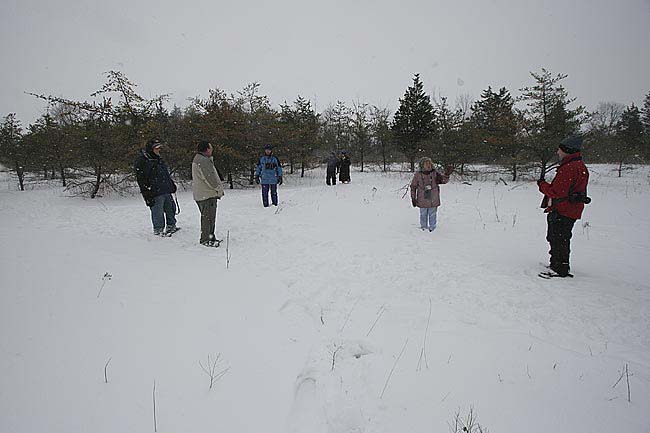 birding-owl-woods-BINNS-IMG