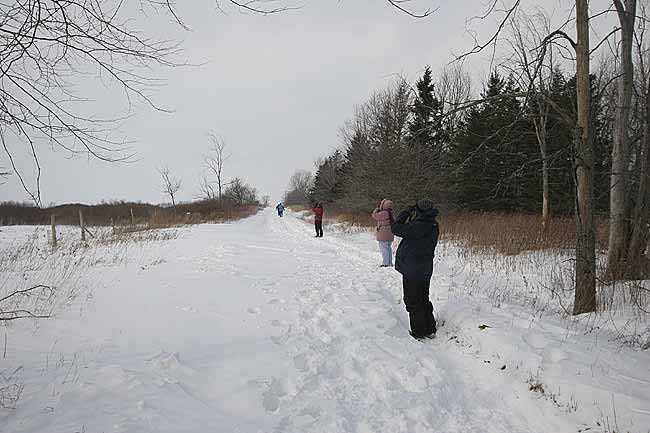 road-to-owl-woods-BINNS-IMG