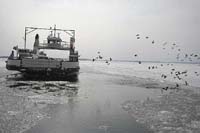 amherst-ferry-BINNS-IMG_523
