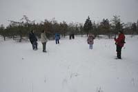 birding-owl-woods-BINNS-IMG