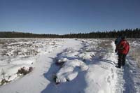 spruce-bog-trail-BINNS-IMG_