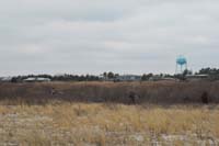 Marshwalk