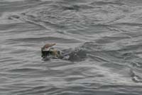Walking-on-Water