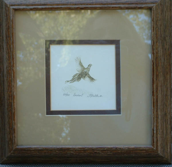 Pheasant