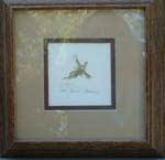 Pheasant