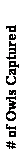 Text Box: # of Owls Captured